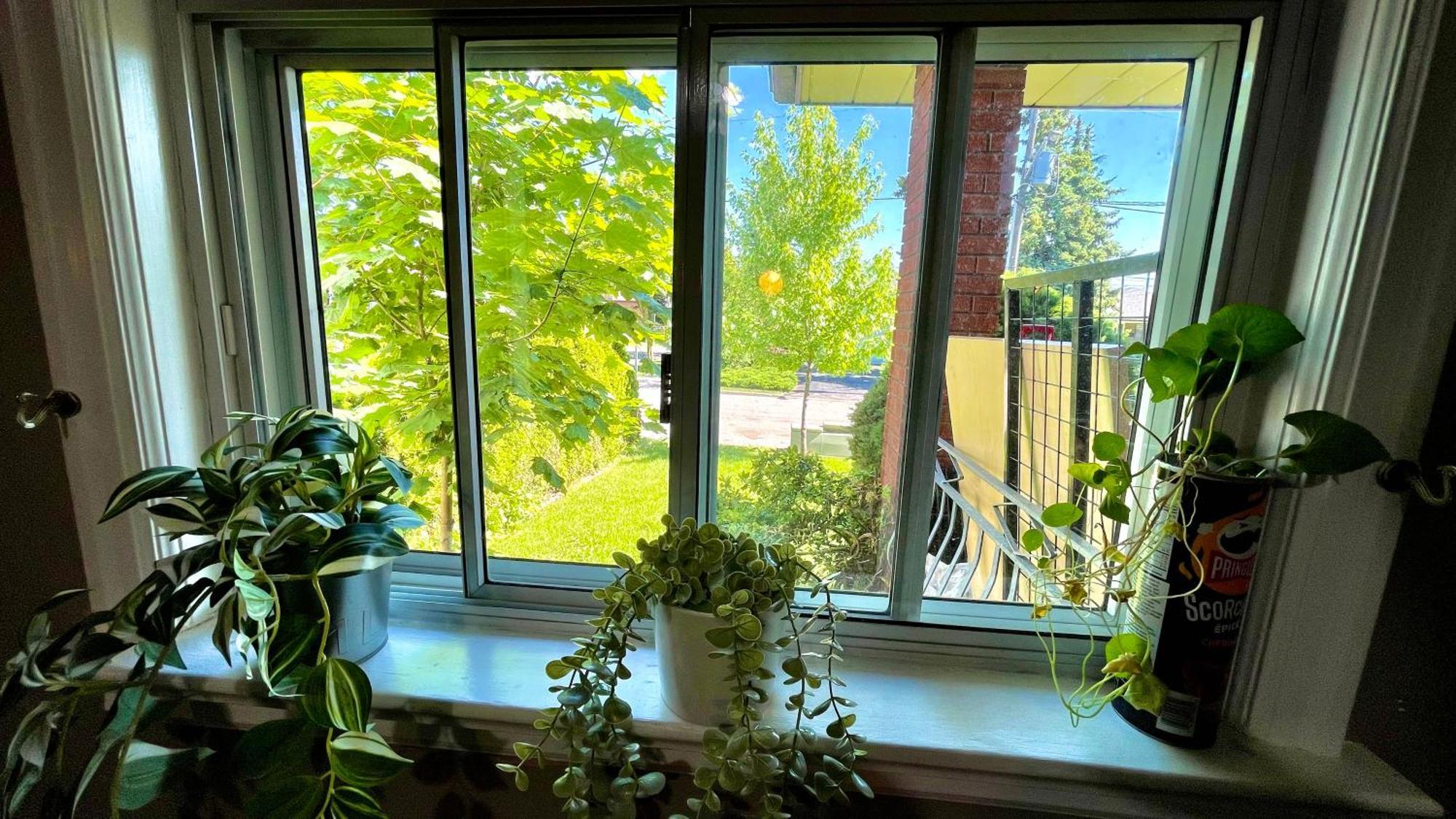 Glengrove Cozy Home تورونتو المظهر الخارجي الصورة